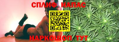 амф Коммунар