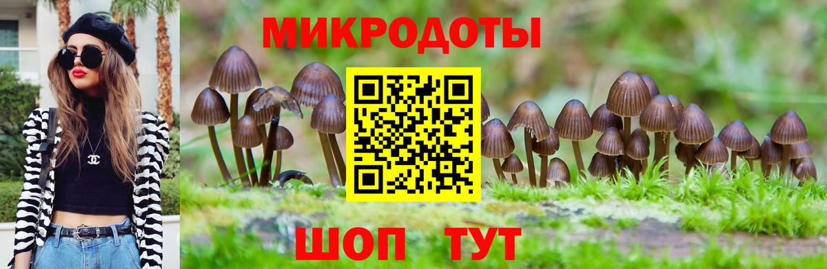 Псилоцибиновые грибы Magic Shrooms Канаш